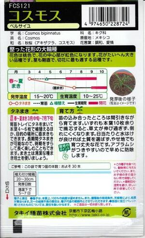 楽天市場 花種子 タキイ種苗 コスモス ベルサイユ 1 7ml袋詰 送料無料 鈴乃園 楽天市場店