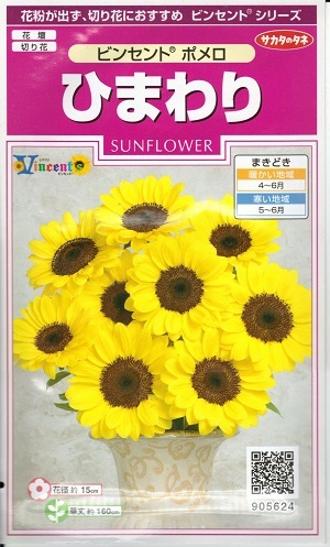 楽天市場】花種子「ひまわり 3種アソートパック」 ビンセントクリア