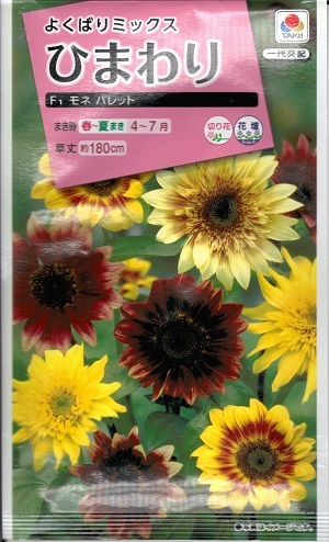 ひまわりん　まとめ売り compass1658557214.jpg