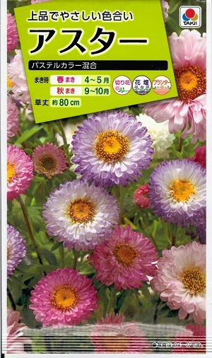 楽天市場 花種子 タキイ種苗 アスター パステルカラー混合 １ｍｌ袋詰 送料無料 鈴乃園 楽天市場店