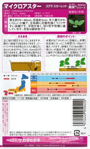 楽天市場 花種子 サカタのタネ マイクロアスター ステラ スカーレット 0 5ml袋詰 送料無料 鈴乃園 楽天市場店