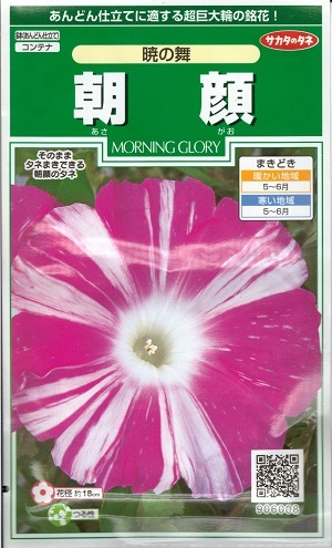 楽天市場】花の種 朝顔 浜の混合 約8粒 (株)サカタのタネ 実咲
