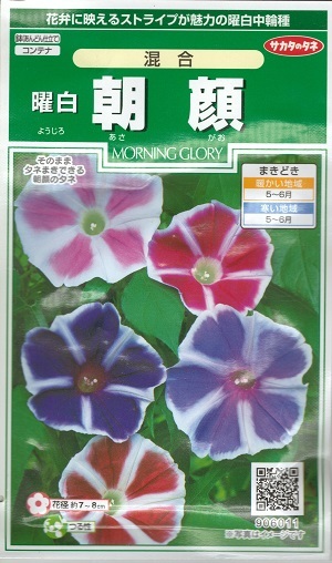 楽天市場】花種子 曜白朝顔「混合」1ml（サカタのタネ）【送料込み