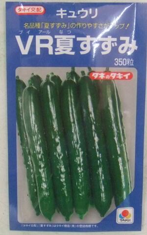 楽天市場 野菜種子 キュウリたね タキイ種苗 ｖｒ夏すずみ 350粒詰 送料無料 鈴乃園 楽天市場店