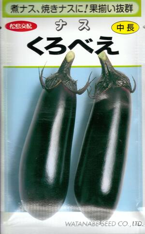 蔬菜内果皮 中長多収茄子「くろべえ」0.6ml／2ml／5ml／10ml／20ml（渡辺採種場）【貨物輸送込み】 クロベエ 茄 なす 多収 日持ち性 証券業界性 身寄り家庭菜園