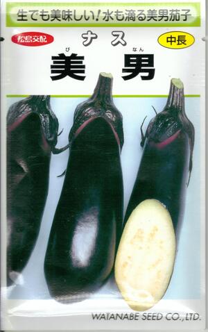 草片内果皮 茄子「美男」0.4ml／2ml／5ml／10ml／20ml（約2,300粒）（渡辺採種場） 【貨物輸送込み】 びなん ビナン 水茄 みずなす 中長系 小茄子 中茄子 着果数 浅漬け 生食