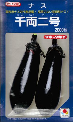 タキイ交配 鈴乃園 茄子タネ ガーデニング 農業 ２０００粒袋詰 野菜の種子 千両二号 タキイ種苗 送料無料 野菜種子 店発売から半世紀を超えるロングセラー品種