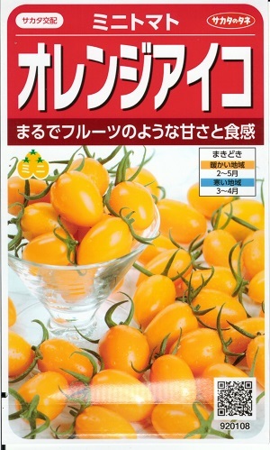 【一般受け変種】蔬菜内果皮 ミニ赤茄子「オレンジ色冷コー」13粒／1,000粒（サカタのタネ）【貨物輸送込み】 酸桃形 身寄り家庭菜園 茎葉もの病み踏みとどまる性