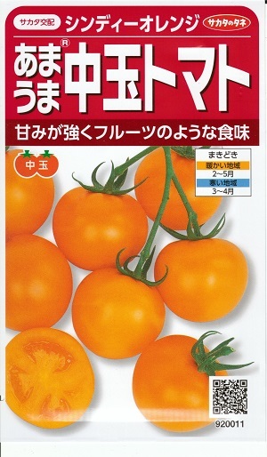 蔬菜内果皮 あまうま中玉赤なす「シンディーオレンジ」13粒／100粒／500粒／1,000粒（サカタのタネ）【貨物輸送込み】 とまと 極早生 身寄り家庭菜園 直売所向け