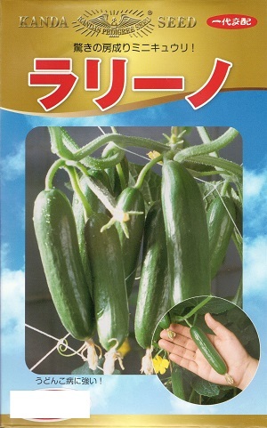 野菜種子 ミニキュウリ「ラリーノ」10粒／50粒／100粒／1,000粒（神田育種農場）【送料込み】 胡瓜 きゅうり イボなし 多収 うどんこ病耐病性 家庭菜園 直売所向け栽培 営利栽培｜鈴乃園　店