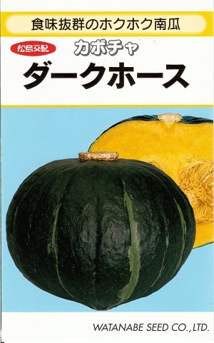 野菜種子 カボチャ「ダークホース」8粒/50粒/100粒/500粒(渡辺採種場)【送料込み】 ホクホク南瓜 ほくほくかぼちゃ ハート型|鈴乃園 店