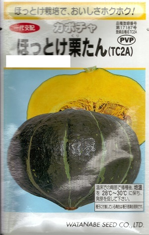 蔬菜内果皮 西洋かぼちゃ「ほっとけ栗たん」9粒／20粒／50粒／100粒／500粒（渡辺採種場）【貨物輸送込み】 ほっとけくりたん ホットケクリタン 西洋かぼちゃ かぼちゃ 省力作りだす 高紛質 大玉 多収 PVP農林水産省書きとどめる亜種（亜種名：TC2A）