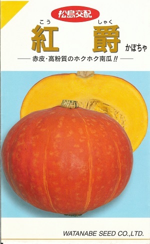 楽天市場】野菜種子 ホクあま赤皮カボチャ「べにくり」6粒／20粒／50粒