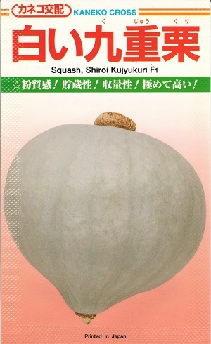 楽天市場 野菜種子 カボチャ種子 カネコ種苗 白い九重栗 ５０粒袋詰 送料無料 鈴乃園 楽天市場店