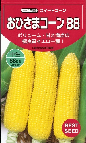 楽天市場】野菜種子 トウモロコシ種 『パイオニア エコサイエンス』 味来390 １５０粒詰 / ２０００粒詰 【送料込み】 : 鈴乃園 楽天市場店