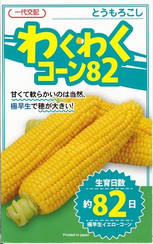 蔬菜内果皮 唐きび「わくわく唐きび82」 100粒／200粒／500粒／2,000粒（カネコ種苗） 【貨物輸送込み】 ワクワク唐きび82 唐きび 黄色唐きび 極早生 先っちょ稔性 身寄り家庭菜園