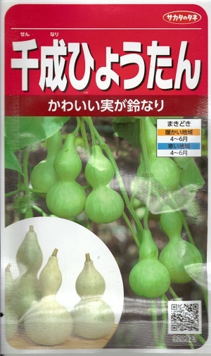 特大ひょうたん 楽天市場】野菜種子 特大ヒョウタン「天下一」 5ml（サカタの
