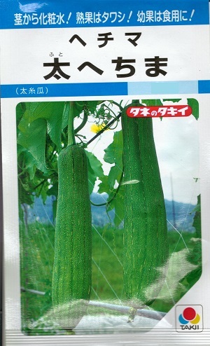 特大ひょうたん 特大ひょうたん（天下一）[ひょうたん] - e-種や｜国内最大級の