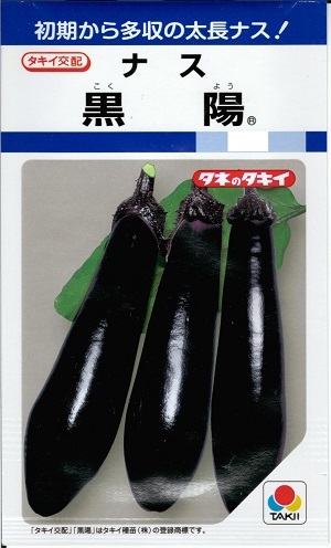 蔬菜内果皮 太長茄子「黒陽」 60粒／2,000粒（タキイ種苗） 【貨物輸送込み】味わいよう コクヨウ 太長茄 なす 多収 極早生