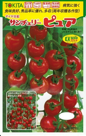 蔬菜内果皮 ミニ赤茄子「サンチェリーピュア」100粒／1,000粒（トキタ種苗）【貨物輸送込み】 さんちぇりーぴゅあ 耐病性 耐虫性 高秀品率 押さえ付ける・冬越し・促成作りだす 周年作りだす