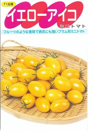 【一般受け変種】蔬菜内果皮 ミニ赤茄子「黄色冷コー」13粒／100粒／500粒／1,000粒（サカタのタネ）【貨物輸送込み】 酸桃形 身寄り家庭菜園 茎葉もの病み踏みとどまる性 高糖度 フルーティー 黄ミニ赤茄子