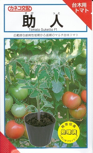 草片内果皮 マルチ台木用赤ナス「助人」100粒／1,000粒（カネコ種苗）【貨物輸送込み】 御手伝い すけっと スケット いきいきプライミング ダイギ だいぎ とまと 耐病性 耐病虫性