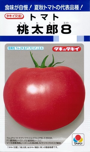 蔬菜内果皮 大玉赤茄子「桃太郎８」16粒／100粒／1,000粒（タキイ種苗）【貨物輸送込み】 桃太郎8 ももたろう8 モモタロウエイト 耐病性 練りあわせる耐病虫性 日もち性 着果性 高秀品率 早生