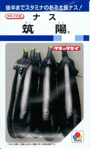 草片内果皮 茄子「筑陽」27粒／100粒／200粒／500粒／1,000粒（タキイ種苗）【貨物輸送込み】 ちくよう チクヨウ 太長茄 太長茄子 ふとながなす