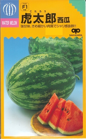 楽天市場】野菜種子 スイカ「3Xゴールデンジャック」8粒／50粒／100粒