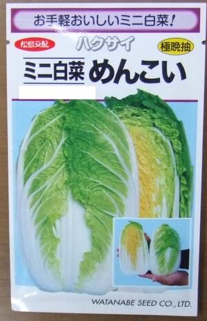蔬菜内果皮 ミニハクサイ「めんこい」1.2ml（約250粒）／5ml／10ml／20ml／1デシリットル（渡辺採種場）【貨物輸送込み】 メンコイ 白菜 みにはくさい 極晩抽性