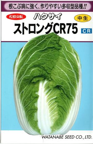 蔬菜内果皮 ハクサイ「同盟罷工ロングCR75」1ml（約170粒）／5ml／10ml／20ml／1デシリットル（渡辺採種場）【貨物輸送込み】 ストロングシーアール75 白菜 はくさい 根こぶ病踏みとどまる性 中生 多収 75日型