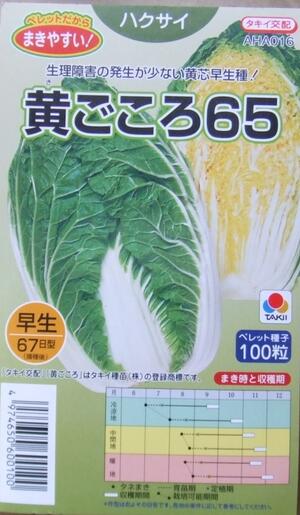 楽天市場 野菜種子 ハクサイたね タキイ種苗 黄ごころ６５ まきやすいペレット１００粒詰 送料無料 鈴乃園 楽天市場店