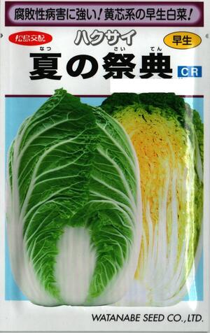 蔬菜内果皮 ハクサイ「夏の祝い事」0.8ml（約180粒）／5ml／10ml／20ml／1デシリットル（渡辺採種場）【貨物輸送込み】 なつのさいてん ナツノサイテン 白菜 はくさい 早生 晩抽性