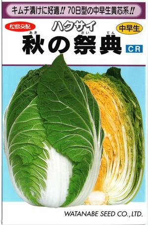 蔬菜内果皮 ハクサイ「秋の祝い事」0.8ml（約150粒）／5ml／10ml／20ml／1デシリットル／ペレット140粒／ペレット500粒／ペレット1,000粒／ペレット5,000粒（渡辺採種場）【貨物輸送込み】 あきのさいてん アキノサイテン 白菜 はくさい 在圃性 中早生 高秀品率 身寄り家庭菜園