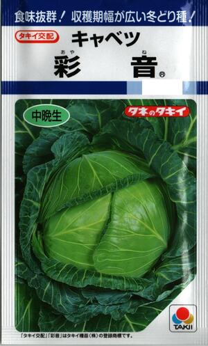 草片内果皮 球菜「彩音」1.2ml（約200粒）／5ml／2,000粒／ペレット150粒／ペレット1,000粒／ペレット5,000粒（タキイ種苗）【貨物輸送込み】 あやね アヤネ 球菜 きゃべつ 中晩生