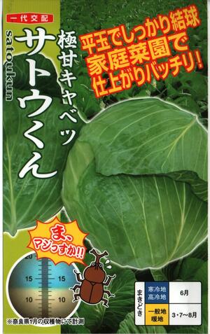 草片内果皮 極甘球菜「サトウくん」コ－ト40粒／コ－ト5,000粒（ナント種苗）【貨物輸送込み】 さとうくん 球菜 きゃべつ 早生 耐暑性 高熱肉付きのよい性 身寄り家庭菜園