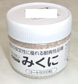 蔬菜内果皮 玉菜「みくに」2L厚地の外套5,000粒（カネコ種苗）【貨物輸送込み】ミクニ 玉菜 きゃべつ 耐病性 在圃性 中早生
