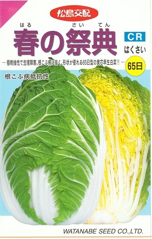 蔬菜内果皮 ハクサイ「春の祝い事」0.8ml（約160粒）／5ml／10ml／20ml／1デシリットル（渡辺採種場）【貨物輸送込み】 はるのさいてん ハルノサイテン 白菜 はくさい 極晩抽性 春作りだす 多収 早生 根こぶ病持ちこたえる性