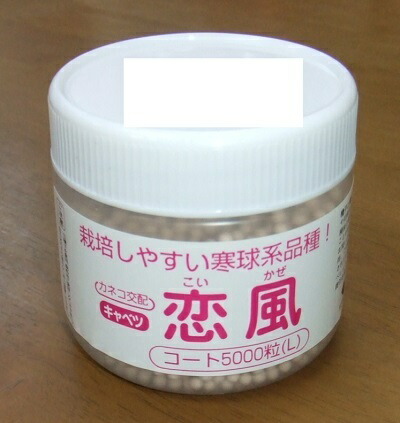 蔬菜内果皮 玉菜「恋風」 L厚地の外套5,000粒（カネコ種苗）【貨物輸送込み】こいかぜ コイカゼ 玉菜 きゃべつ 耐暑性 耐病性 証券業界性 在圃性 中早生