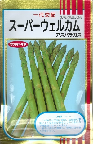 楽天市場】【大人気品種】野菜種子 アスパラガス「恋むらさき