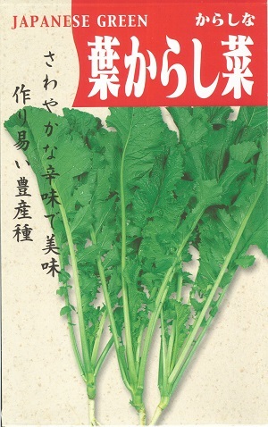 楽天市場】【信州名産】野菜種子 ツケナ「野沢菜」7ml（約680粒