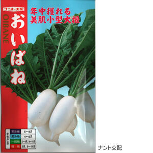 草片内果皮 美肌小型清白「おい発条」4ml（約11粒）／10ml／20ml／50ml／2デシリットル（ナント種苗） 【貨物輸送込み】 オイバネ 美肌小型大根役者 みにだいこん ミニ清白 周年作りだす