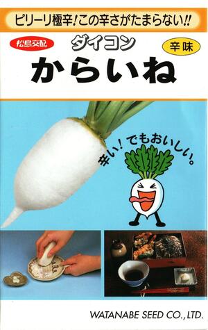 野菜種子 辛味ダイコン「からいね」5.4ml（約170粒）／20ml／2dl（渡辺採種場）【送料込み】 辛いね カライネ 辛味大根 からみだいこん 長期貯蔵性 家庭菜園｜鈴乃園　店