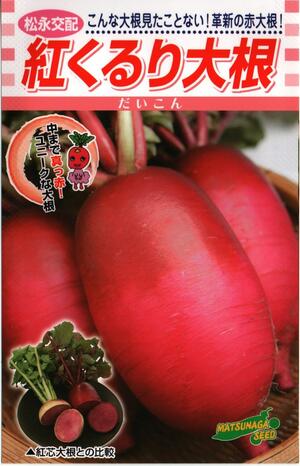 蔬菜内果皮 赤蘿蔔「紅くるり大根役者」2ml（約100粒）／5ml／10ml／20ml／2デシリットル（松永種苗）【貨物輸送込み】 べにくるり ベニクルリ だいこん ス入り口・入口抵抗性