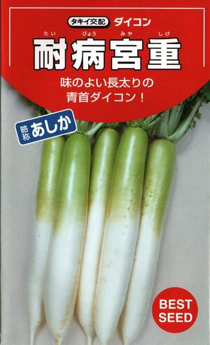 楽天市場】野菜種子 ダイコン「夏秋清光」5ml（トーホク種苗） 【送料