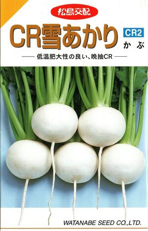 蔬菜内果皮 坊や「CR雪あかり」2.5ml（約580粒）／10ml／20ml／1デシリットル／2デシリットル（渡辺採種場）【貨物輸送込み】 CRゆきあかり シーアールユキアカリ 蕪 かぶ 晩抽・根こぶ病持ちこたえる性 冷ややかさ肉付きのよい性 極早生