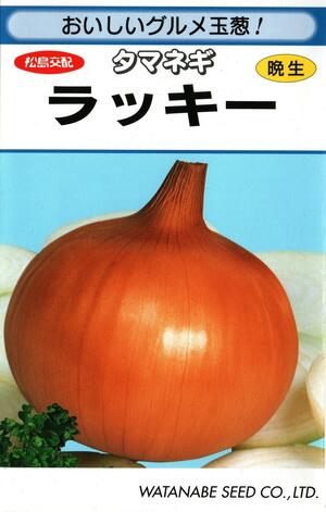 楽天市場】野菜種子 タマネギ「ジェットスター」 1.5g／10g