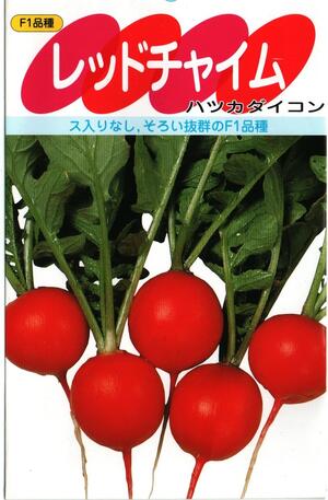 蔬菜内果皮 まんまるハツカダイコン「赤いこと鐘」 7ml／20ml／1デシリットル／2デシリットル（サカタのタネ）【貨物輸送込み】 二十日大根役者 はつかだいこん