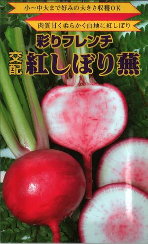 草片内果皮 塗り付けるフレンチ小僧「紅しぼり蕪」2ml／20ml／1デシリットル（長坂種苗園）【貨物輸送込み】 べにしぼりかぶ 小かぶ 中かぶ 大かぶ 白さび病抵抗力 根こぶ病抵抗力