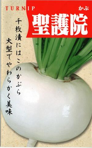 楽天市場 野菜種子 かぶたね 渡辺採種場 聖護院かぶ ml袋詰 送料無料 鈴乃園 楽天市場店